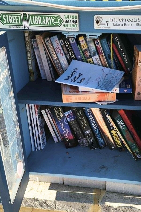 The book 'Nobody’s Telling Sam' by S.A.M., in an Alkimos street library.