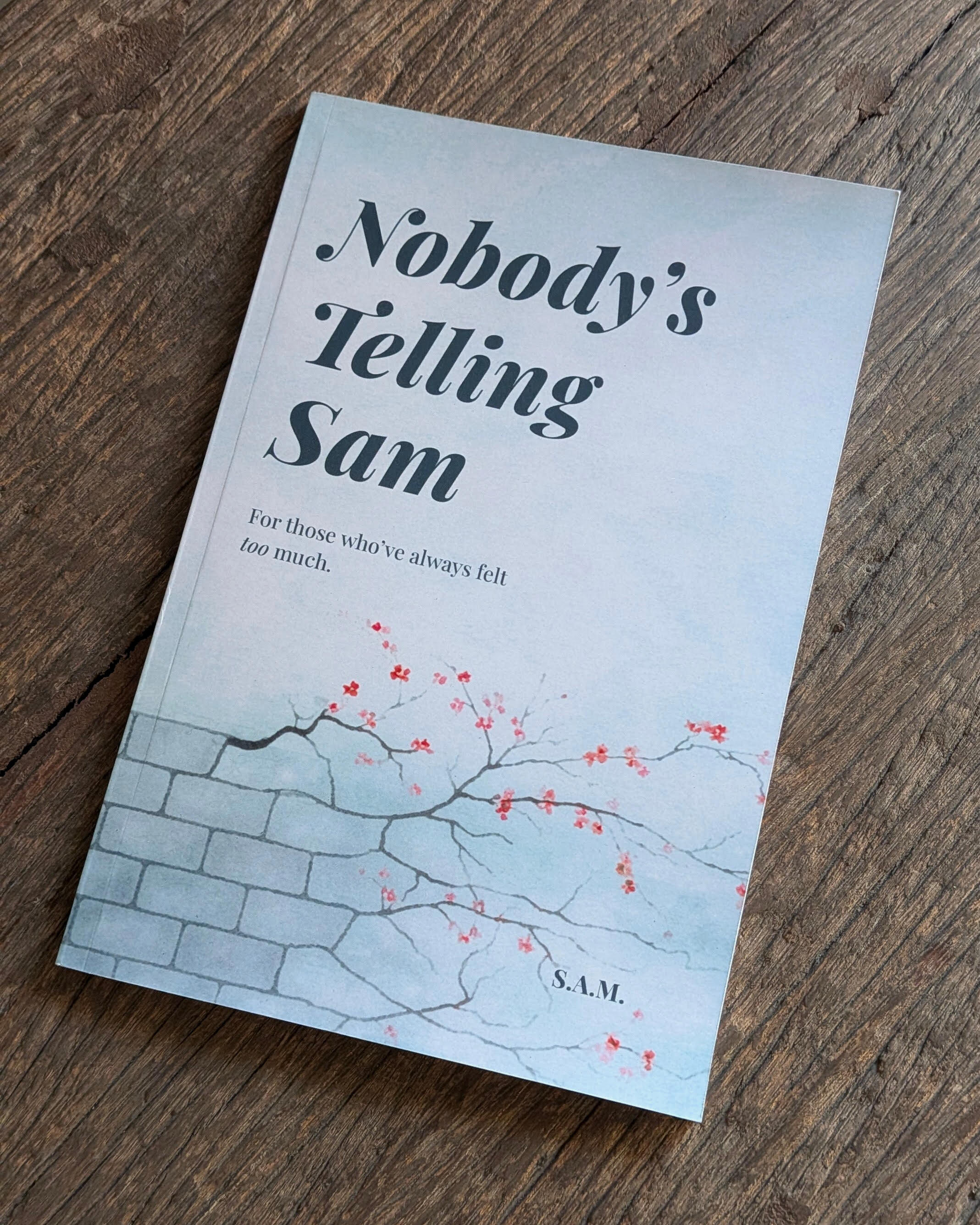 The front cover of 'Nobody’s Telling Sam' resting on a rustic wooden surface, highlighting the book's narrow binding and the natural grain of the wood.